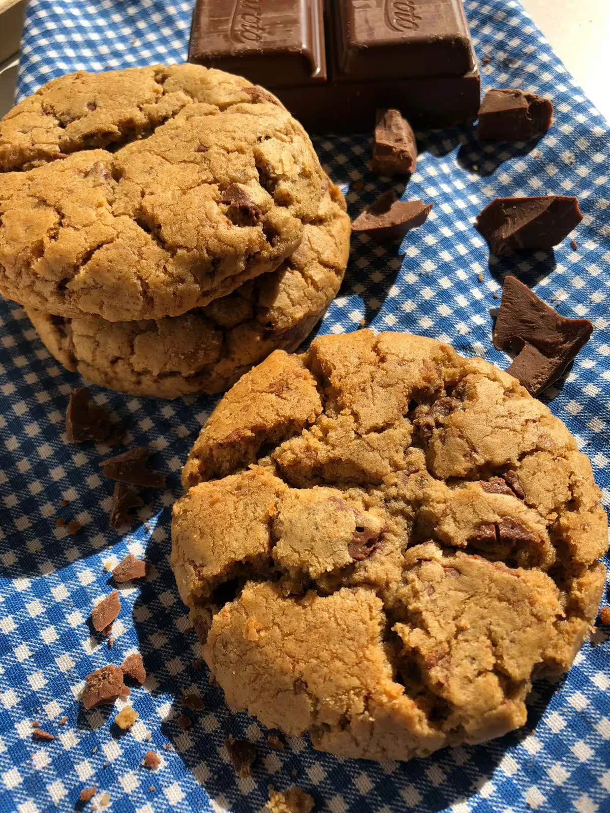 Surf, Sol e Cookies: O Guia Completo do Estilo de Vida Garopaba